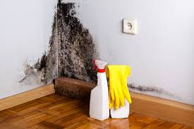 Johnsonburg, PA Mold Prevention & Removal  Company